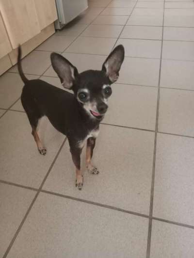 Fotochallange Nr. 57     PORTRÄT.   Beendet!!!!!!!!-Beitrag-Bild