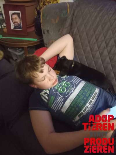 Dogorama Photo Challenge - "Adoptieren statt Produzieren" mit Gewinnspiel-Beitrag-Bild