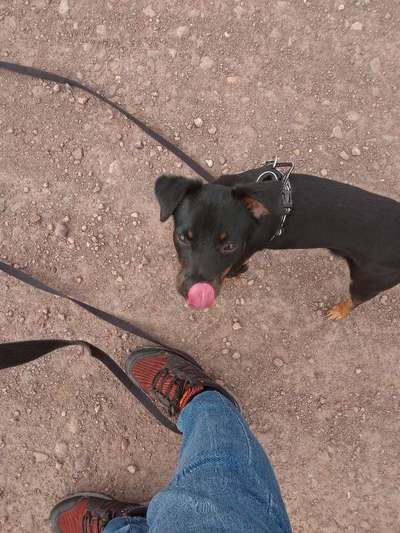 Tongue Out Tuesday-Beitrag-Bild