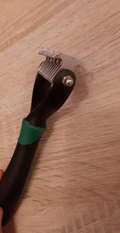 Hundehaare Mops-französische Bulldoggen-mix-Beitrag-Bild