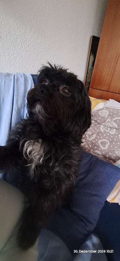 Freddys Kummerkasten-Beitrag-Bild