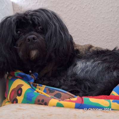 Freddys Kummerkasten-Beitrag-Bild