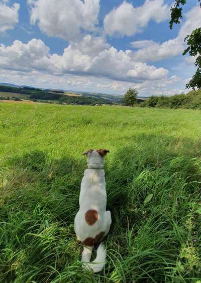 Farben Fotochallenge Thema ,,Grün"-Beitrag-Bild