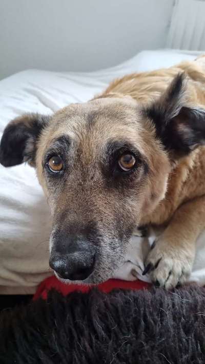 Lieblingsbild :D-Beitrag-Bild