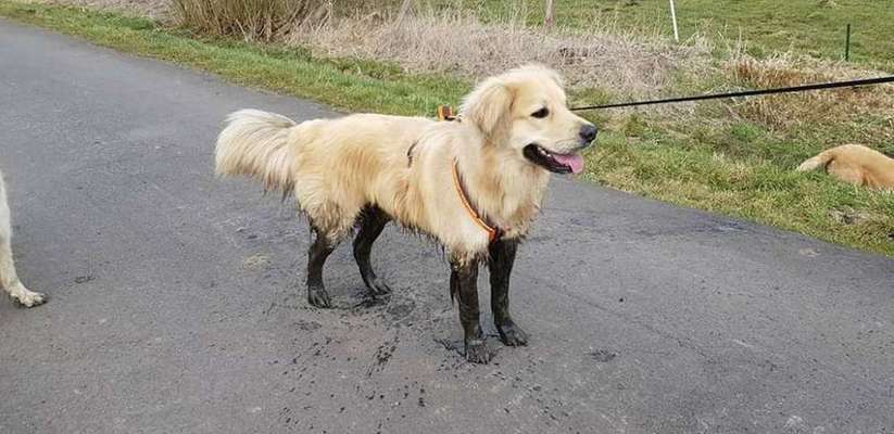 Baden/waschen-Beitrag-Bild