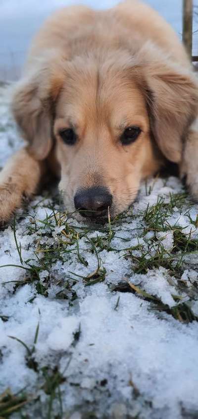 Zeigt euer coolstes winteroutfit-Beitrag-Bild