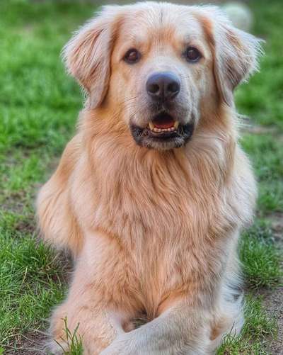 Immer lächeln !-Beitrag-Bild