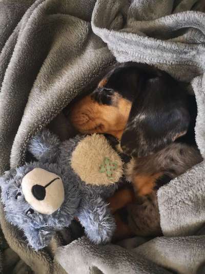 Foto Challenge Nr. 134-Beitrag-Bild