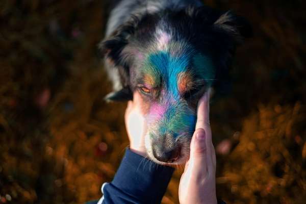 14. Collagen Challenge- Sonnenaufgang & -Untergang-Beitrag-Bild