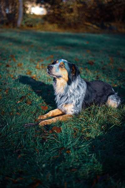 14. Collagen Challenge- Sonnenaufgang & -Untergang-Beitrag-Bild