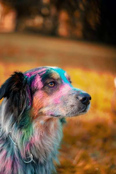 14. Collagen Challenge- Sonnenaufgang & -Untergang-Beitrag-Bild