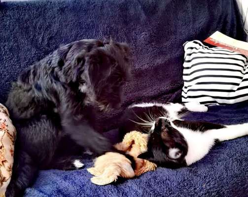 Fotochallenge Nr.105  Glücksmomente-Beitrag-Bild