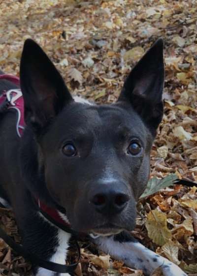 Fotochallange Nr. 57     PORTRÄT.   Beendet!!!!!!!!-Beitrag-Bild