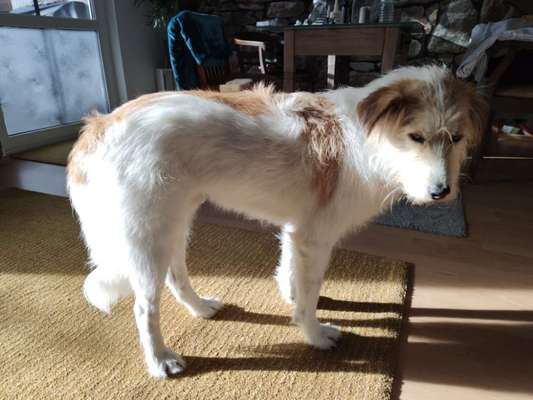 Gibts hier Mioritic Besitzer?-Beitrag-Bild