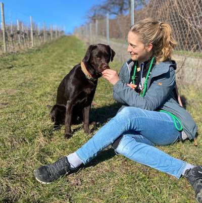 Hundetreffen-Gegenseitige Unterstützung-Profilbild