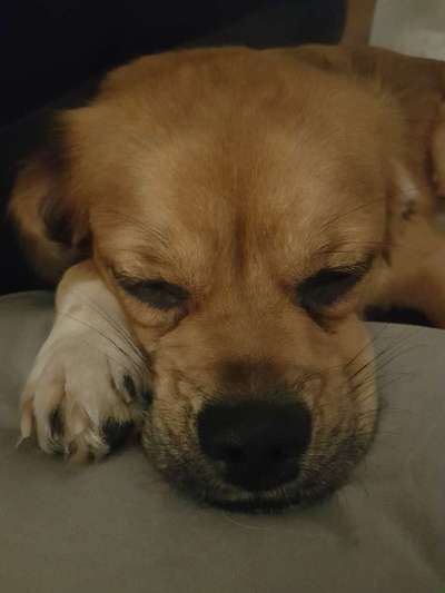 Gemeinsames Kuscheln im Bett!-Beitrag-Bild