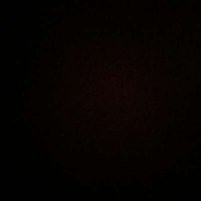 Hundetreffen-Gassi gehen