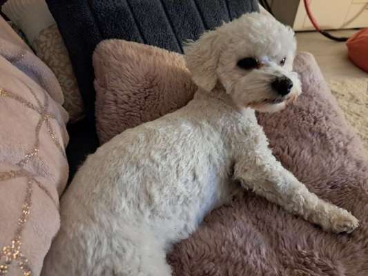 Vor dem Friseur - nach dem Friseur-Beitrag-Bild