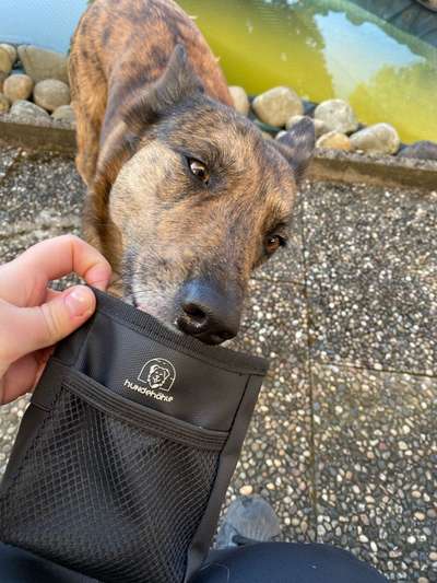 %{de_profession_title}-Futterbeutel Tavix-Bild