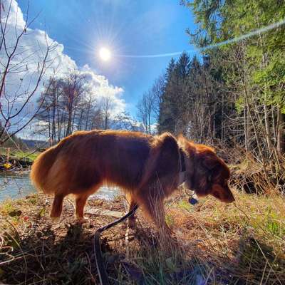 Dogorama-Monats-Challenge-Mai "Wasser"-Beitrag-Bild