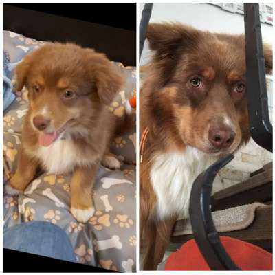 Vorher.... Nachher-Beitrag-Bild