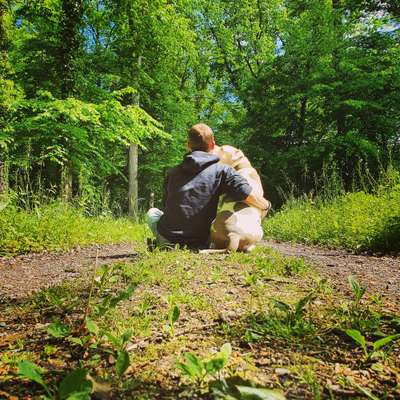 Wie kamst du zu deinem Hund?-Beitrag-Bild