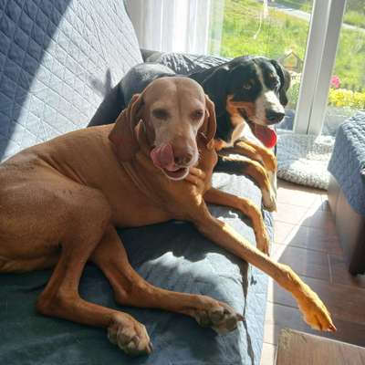 Jeannette's Profilbild