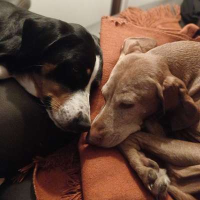 Jeannette's Profilbild