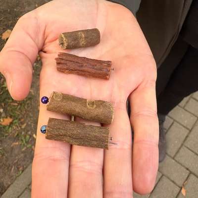 Giftköder-Giftköder-Bild