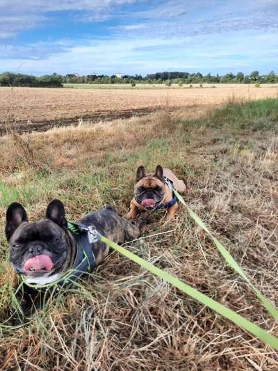 Handyfoto challenge Nr. 13: Waschlappen raus!-Beitrag-Bild