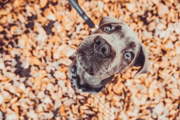 Fotowettbewerb Natur-Beitrag-Bild