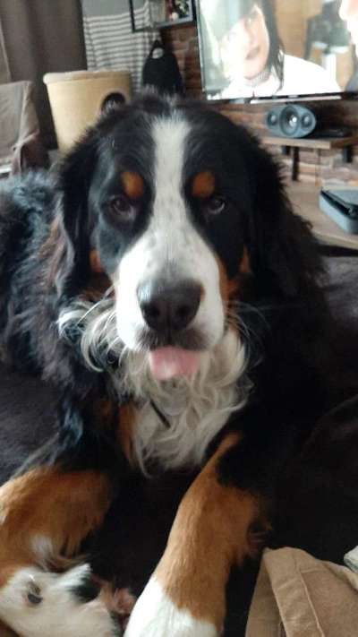 Blick fürs Detail!-Beitrag-Bild