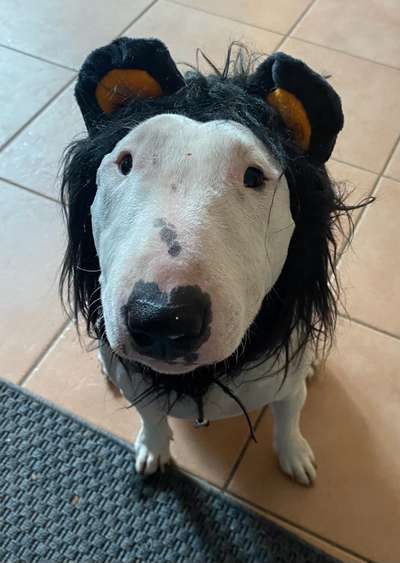 Handy-Foto Challange Nr. 10-Beitrag-Bild