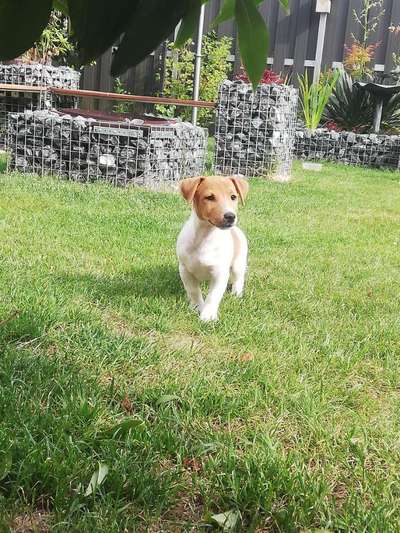 Fotochallange Nummer 5-Beitrag-Bild