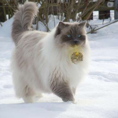 "Wege zur Freundschaft" (Ulli Reichmann)-Beitrag-Bild