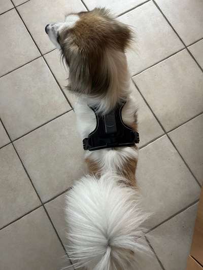 Erfahrung mit GPS Trackern-Beitrag-Bild