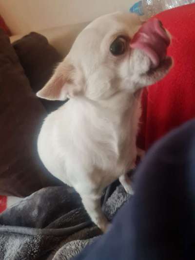 Fotochallenge Nr. 67: Euer Lieblingsbild-Beitrag-Bild