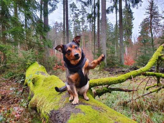 Fotowettbewerb Natur-Beitrag-Bild