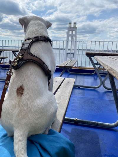 Außergewöhnliche Merkmale-Beitrag-Bild