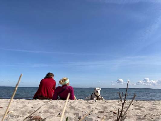 Dogorama Photo Challenge - Fail/Outtakes-Beitrag-Bild