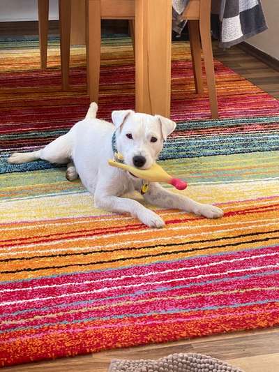 Lieblingsbild :D-Beitrag-Bild