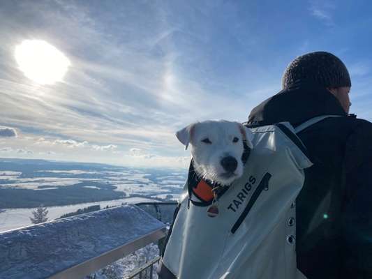 Fotochallenge Nr 107-Beitrag-Bild