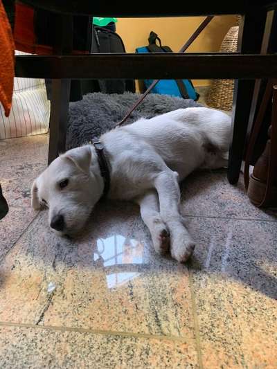 Impulskontrolle Challenge Nr.: 7
         "Gesellschaftsfähig"-Beitrag-Bild