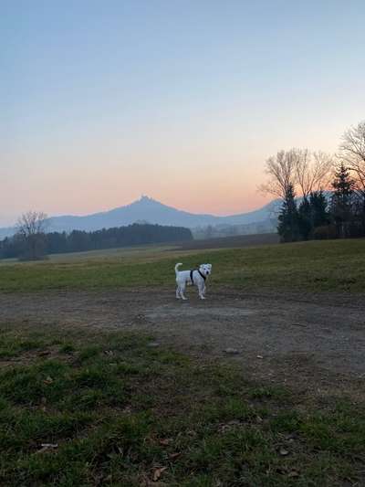 14. Collagen Challenge- Sonnenaufgang & -Untergang-Beitrag-Bild