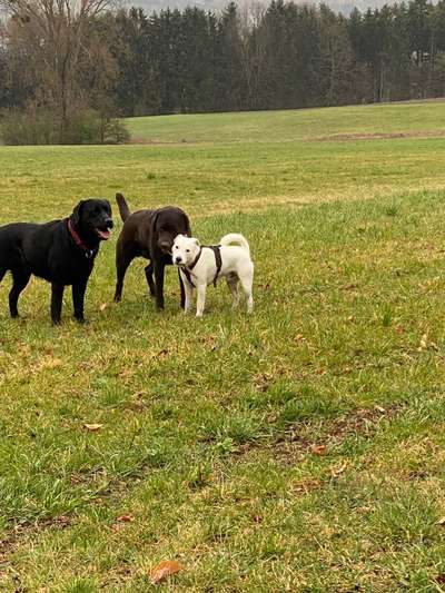 Handy-Foto-Challange Nr. 8-Beitrag-Bild