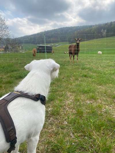 Moviestar-Pics!-Beitrag-Bild