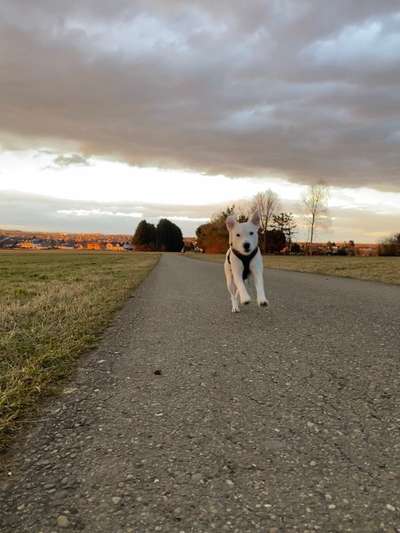 Theos Fotochallange Nummer 4-Beitrag-Bild