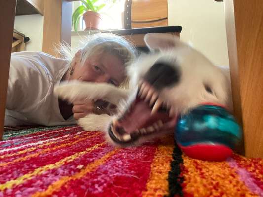 26. Handy Foto Challenge-Beitrag-Bild