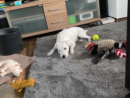 15. Handyfoto Challenge - Indoor Aktivitäten-Beitrag-Bild