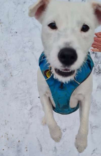 Lieblingsbild-Beitrag-Bild